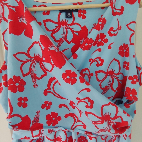 EUC Plus Size Land's End Sleeveless Fit & Flare Dress - Size 1X - Picture 5 of 12